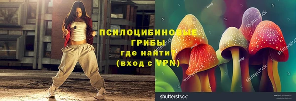 гашик Армянск